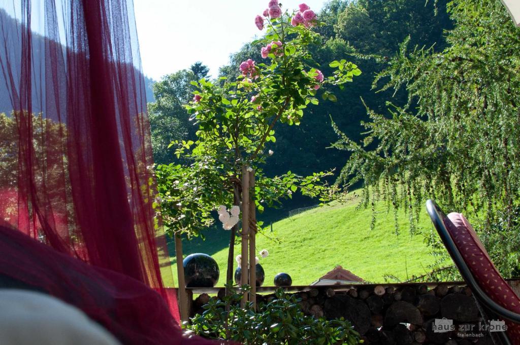 B&B Haus Zur Krone Oberriet Экстерьер фото